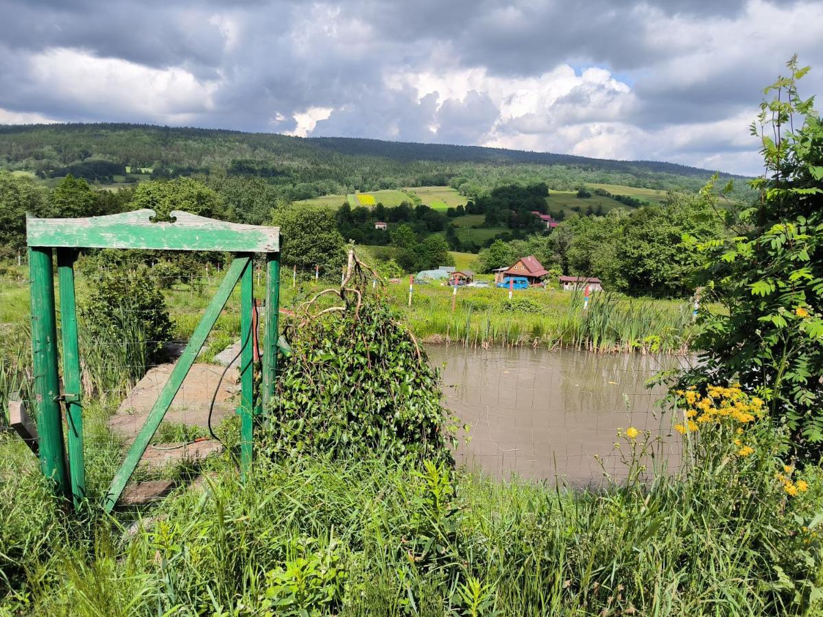 Agroturystyka Odnowica U Pawla Buitenkant foto
