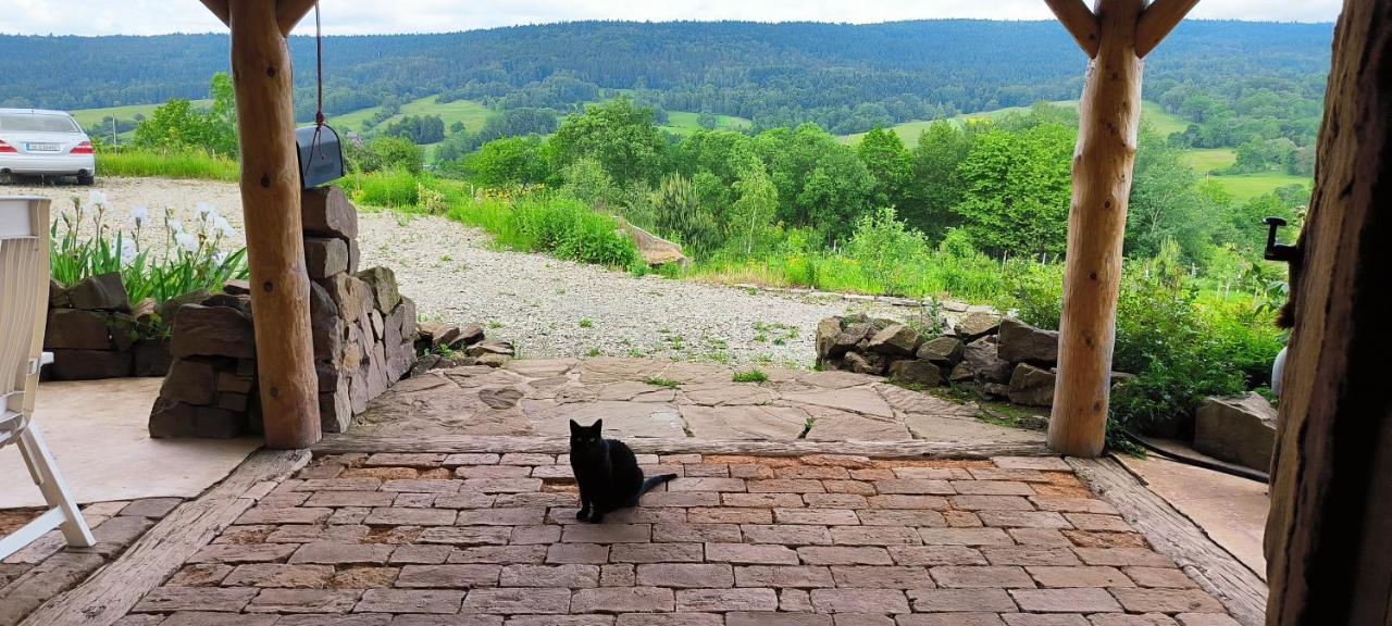 Agroturystyka Odnowica U Pawla Buitenkant foto